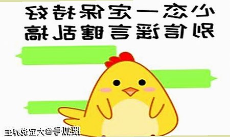 网红夫妻再掀热议：背后隐藏的关系与影响