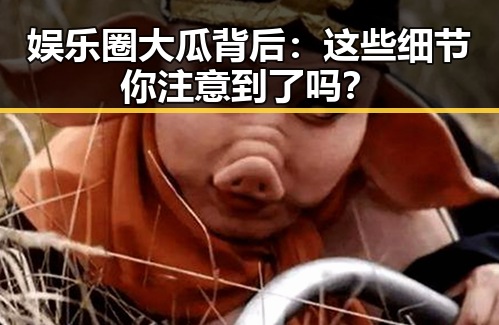 娱乐圈大瓜背后：这些细节你注意到了吗？